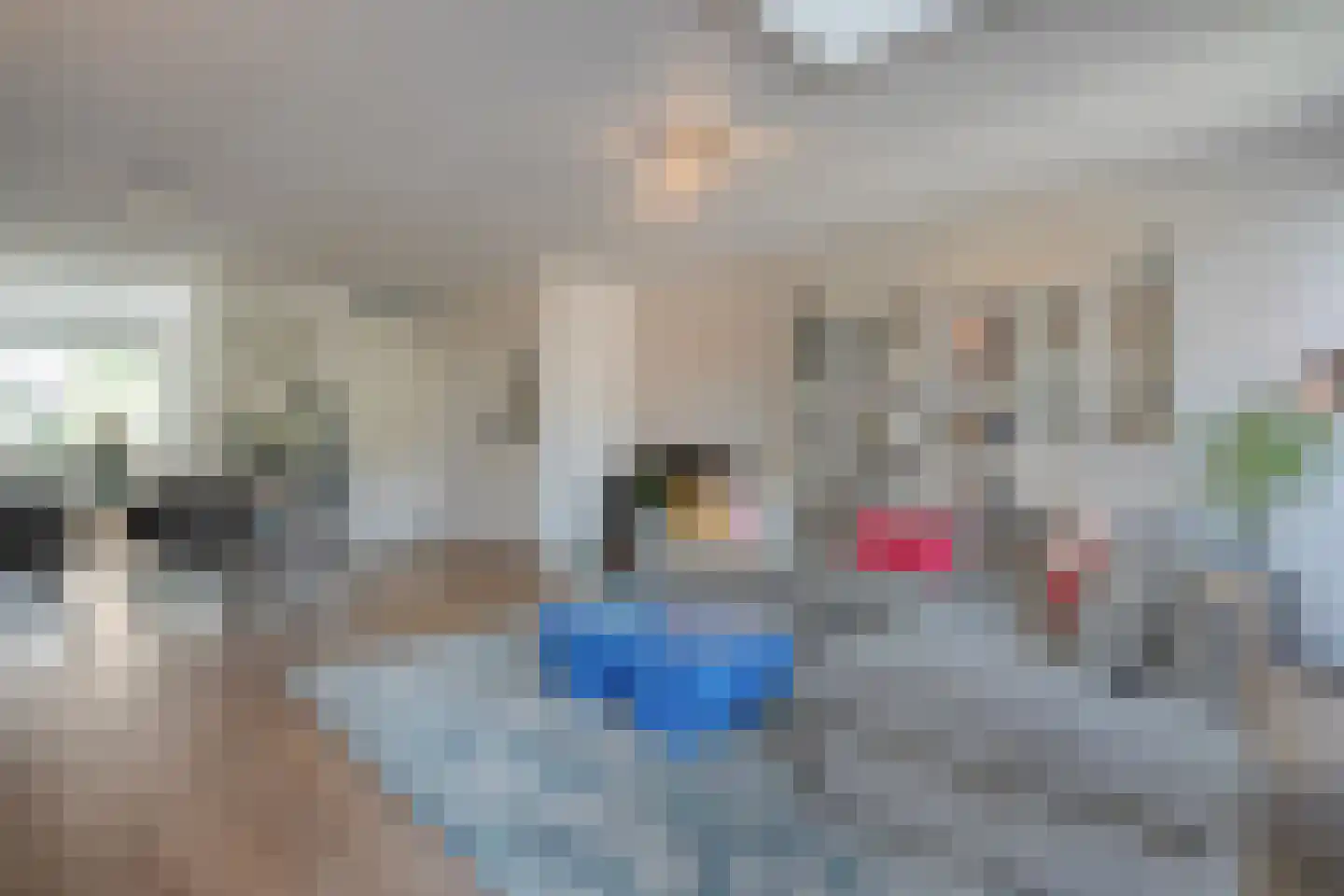 Gorterstraat 7 Zwolle thumbnail 14