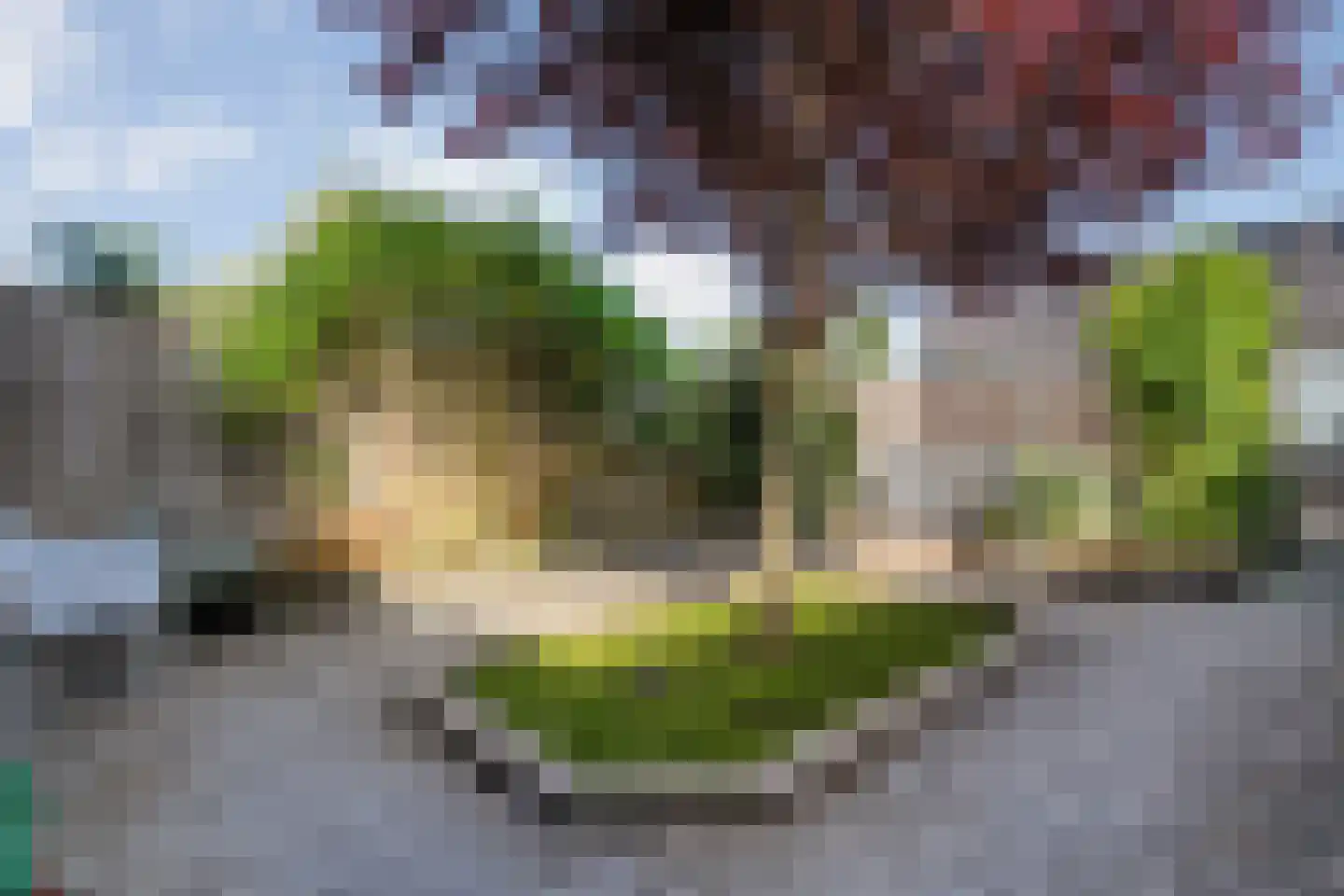 Gorterstraat 7 Zwolle thumbnail 38