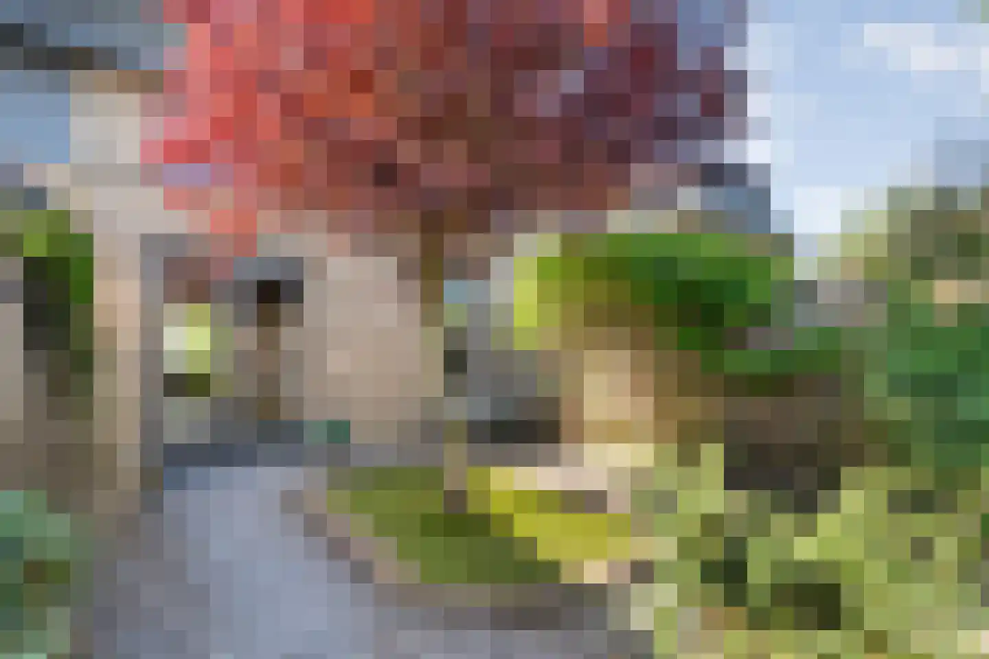 Gorterstraat 7 Zwolle thumbnail 42