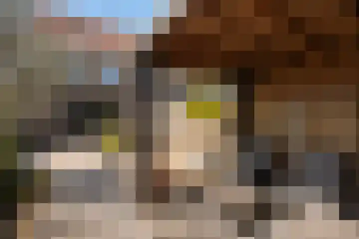 Gorterstraat 82 Zwolle thumbnail 31