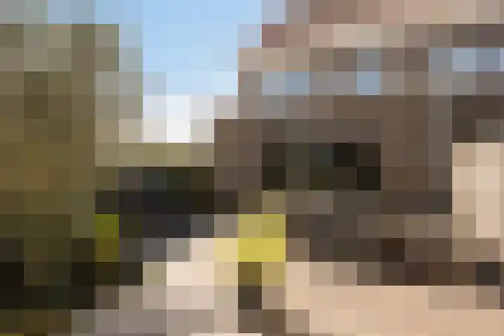 Gorterstraat 82 Zwolle thumbnail 33