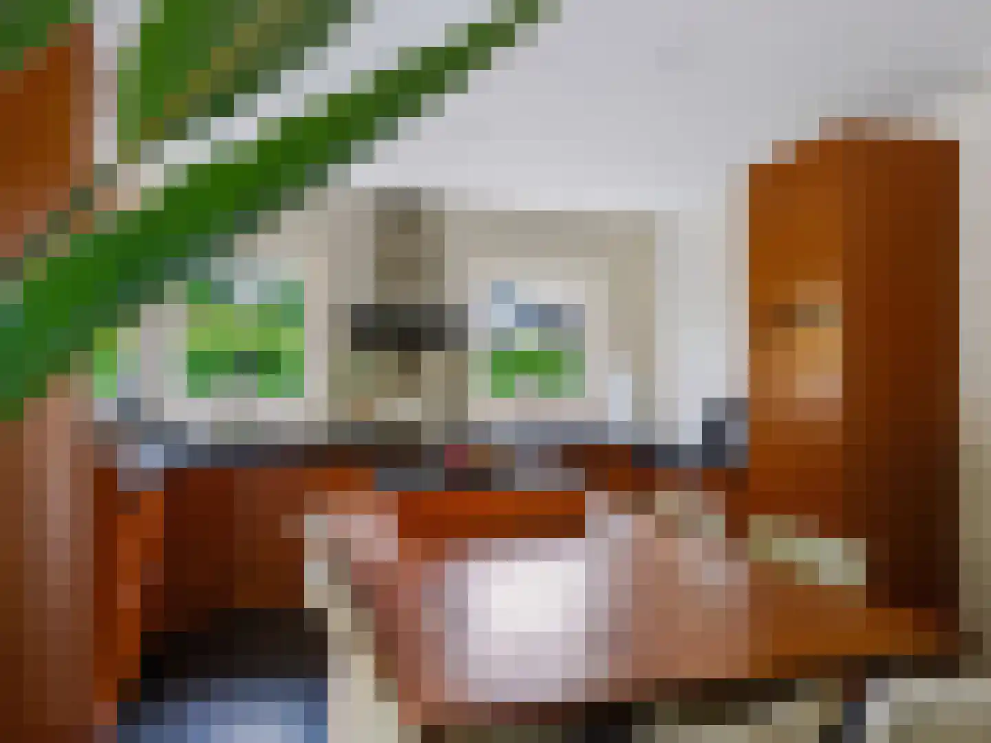 Gortersweg 2 A Schoorl thumbnail 13