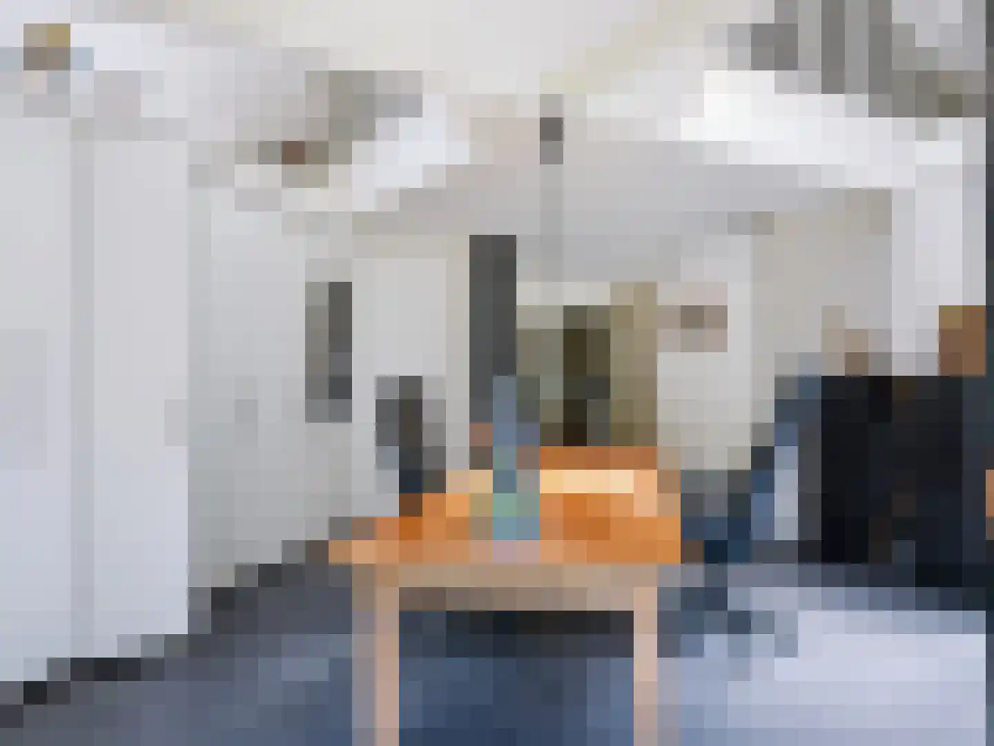 Gortersweg 2 A Schoorl thumbnail 15