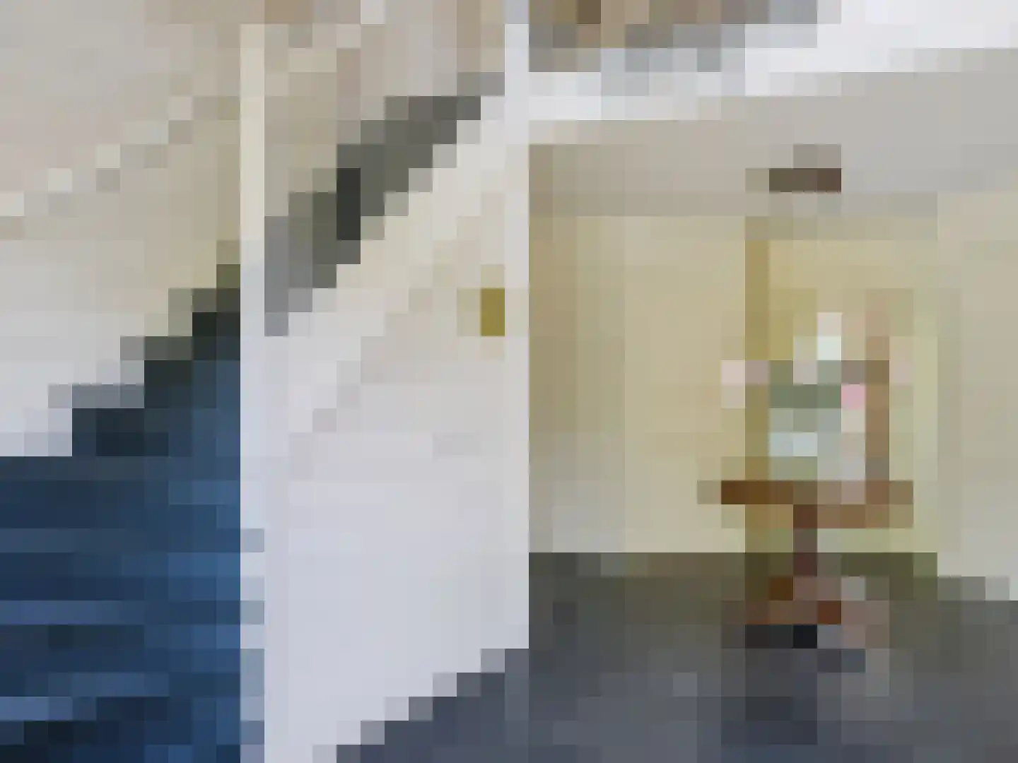 Gortersweg 2 A Schoorl thumbnail 15