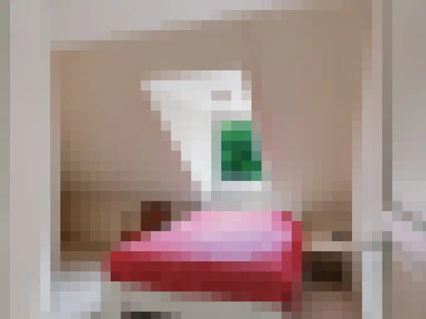 Gortersweg 2 A Schoorl thumbnail 21