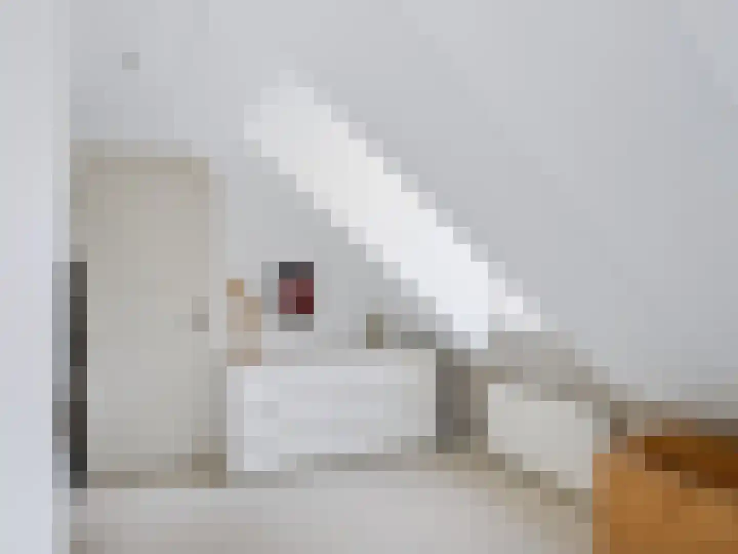 Gortersweg 2 A Schoorl thumbnail 25