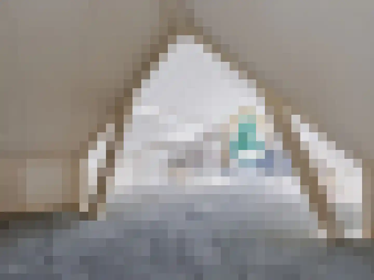Gortersweg 2 A Schoorl thumbnail 26