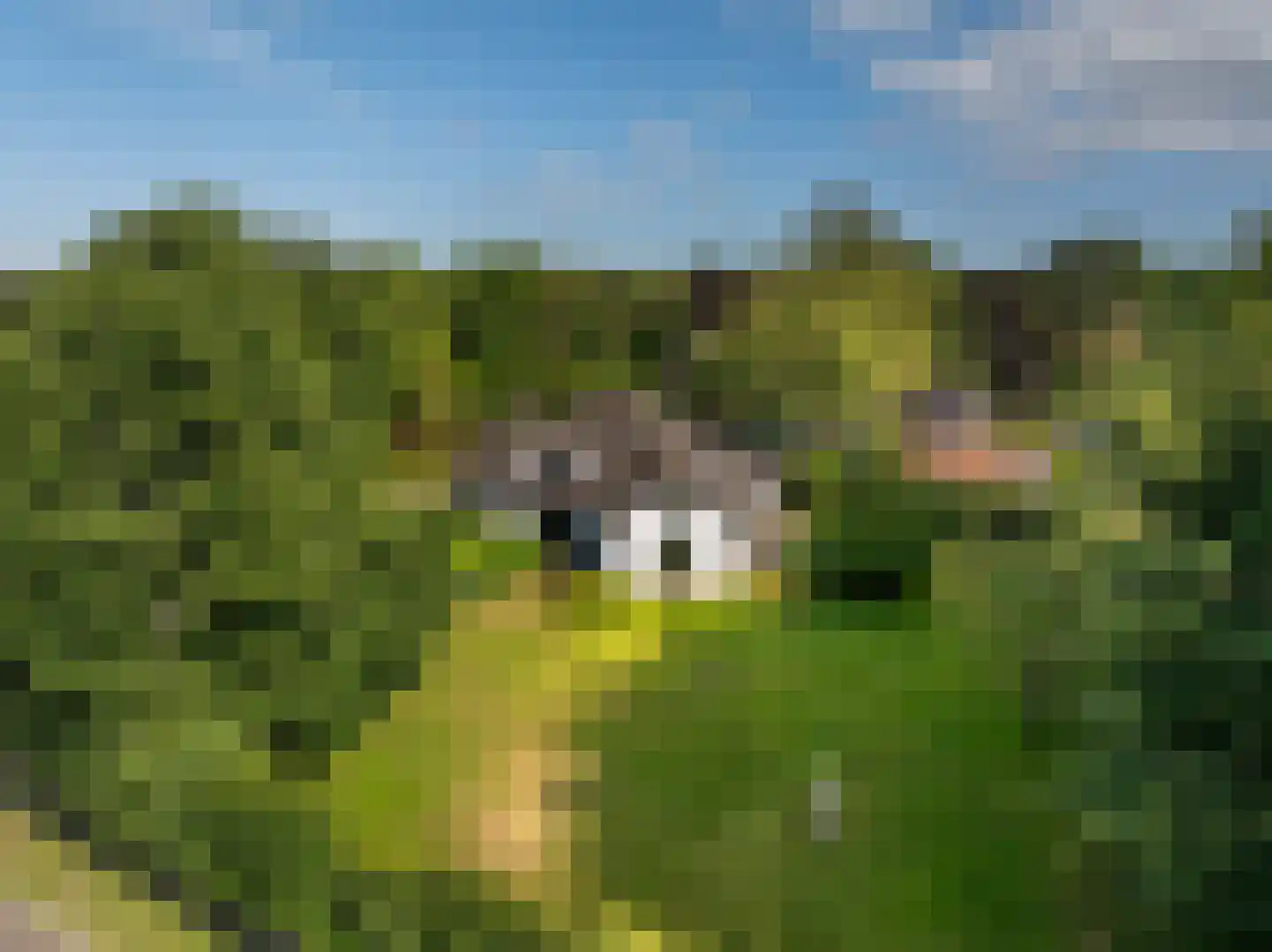 Gortersweg 2 A Schoorl thumbnail 29