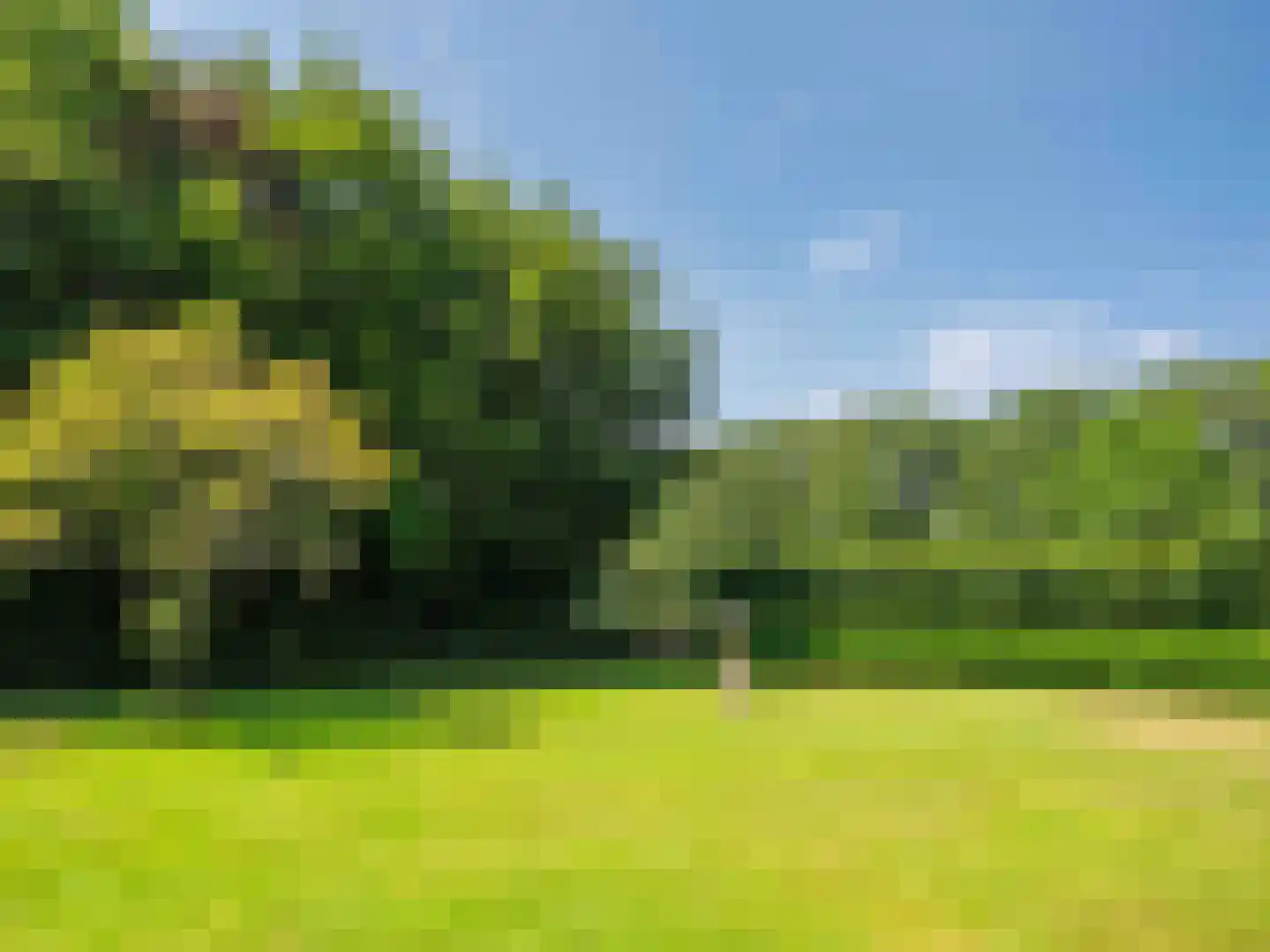 Gortersweg 2 A Schoorl thumbnail 34