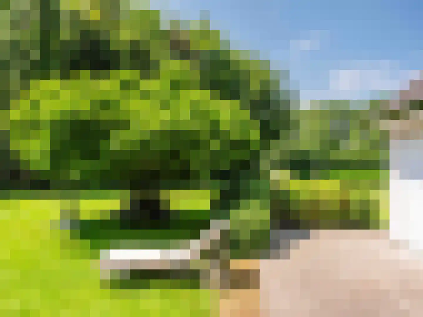 Gortersweg 2 A Schoorl thumbnail 36