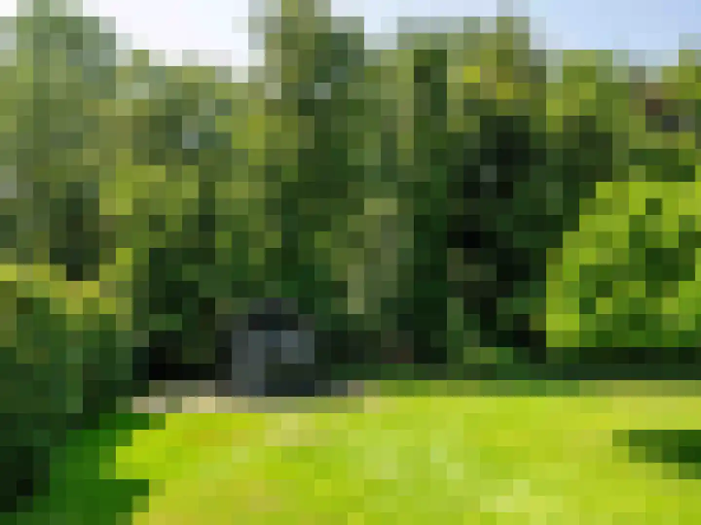 Gortersweg 2 A Schoorl thumbnail 37