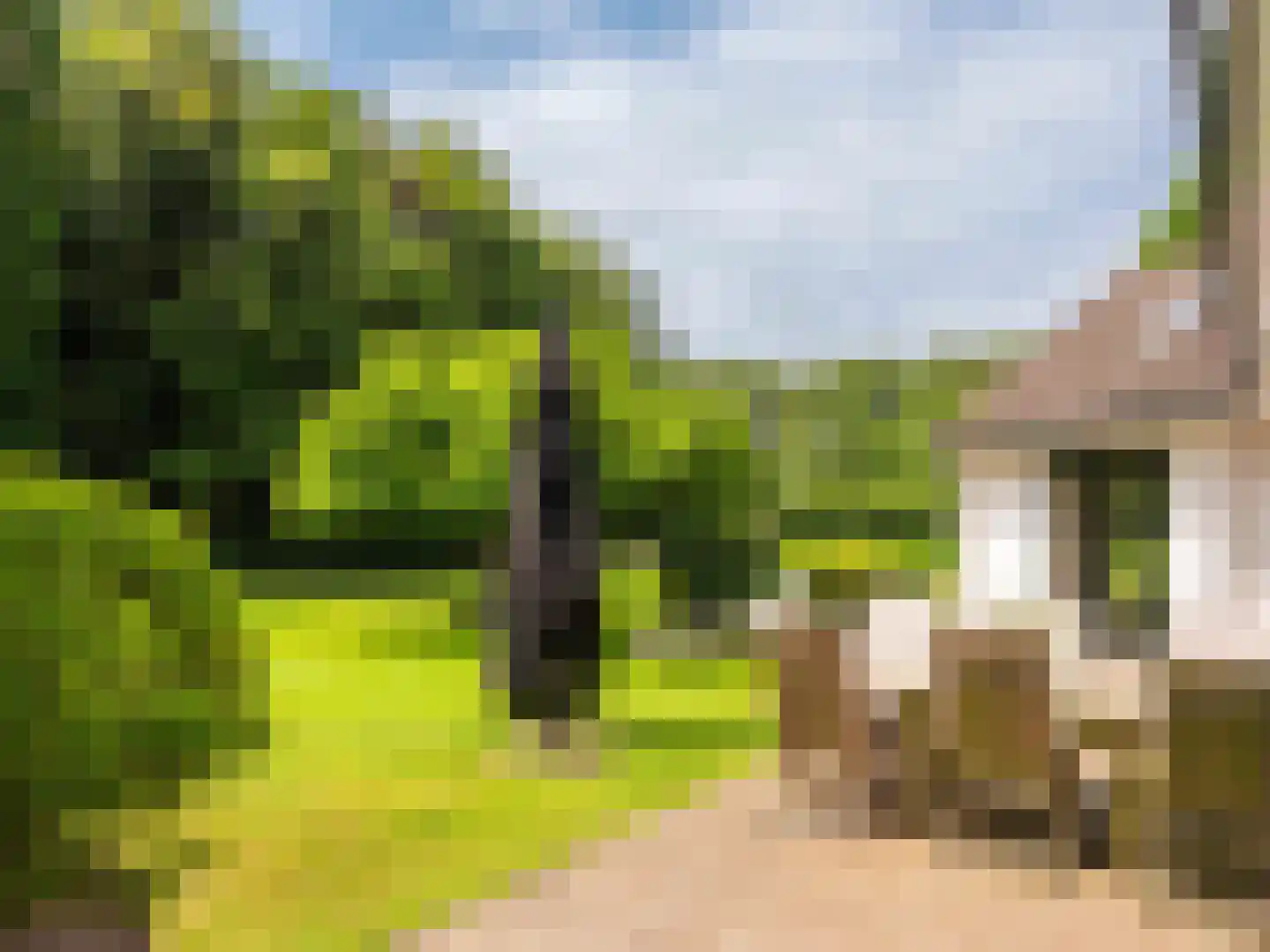 Gortersweg 2 A Schoorl thumbnail 39