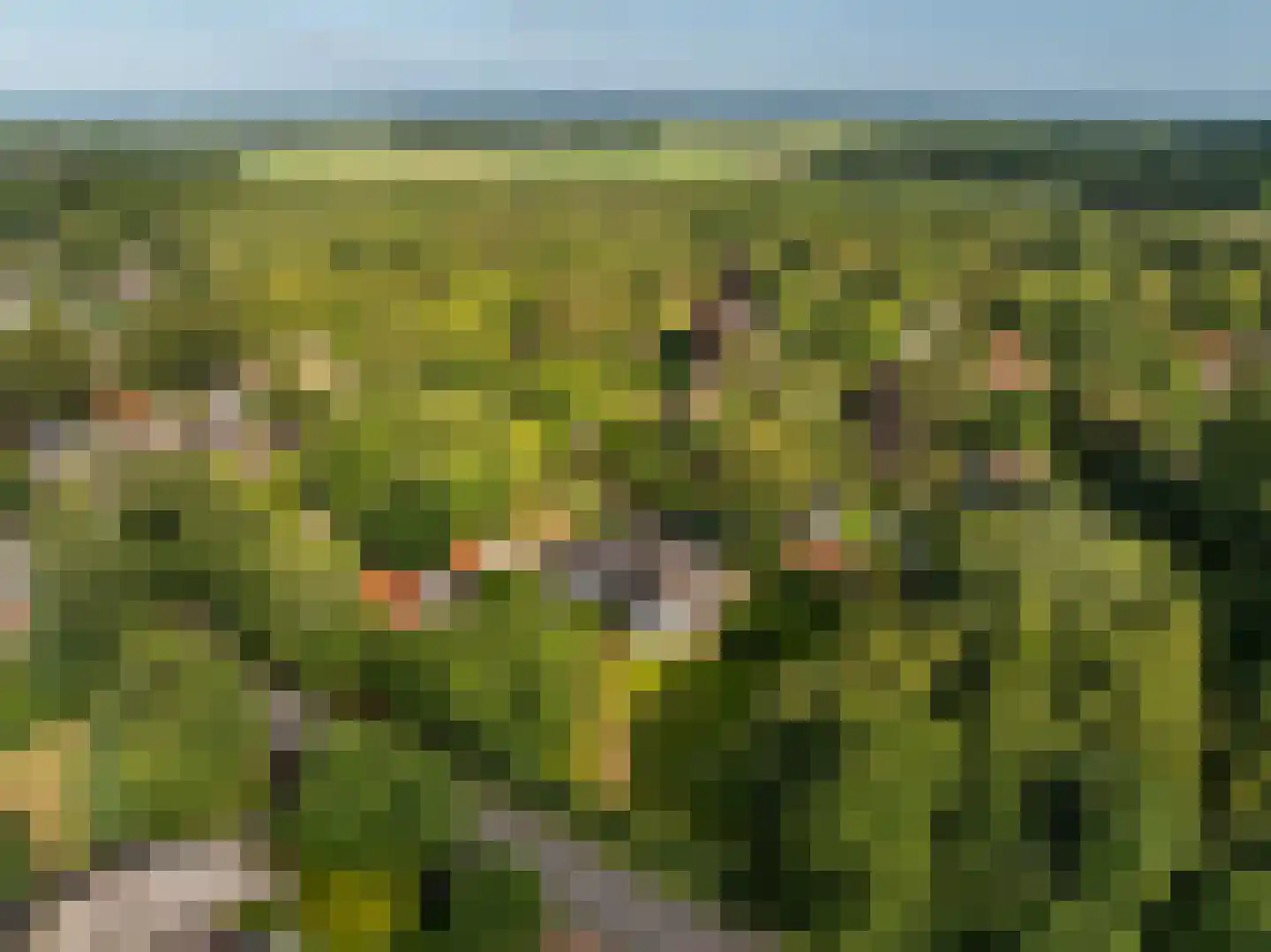 Gortersweg 2 A Schoorl thumbnail 4