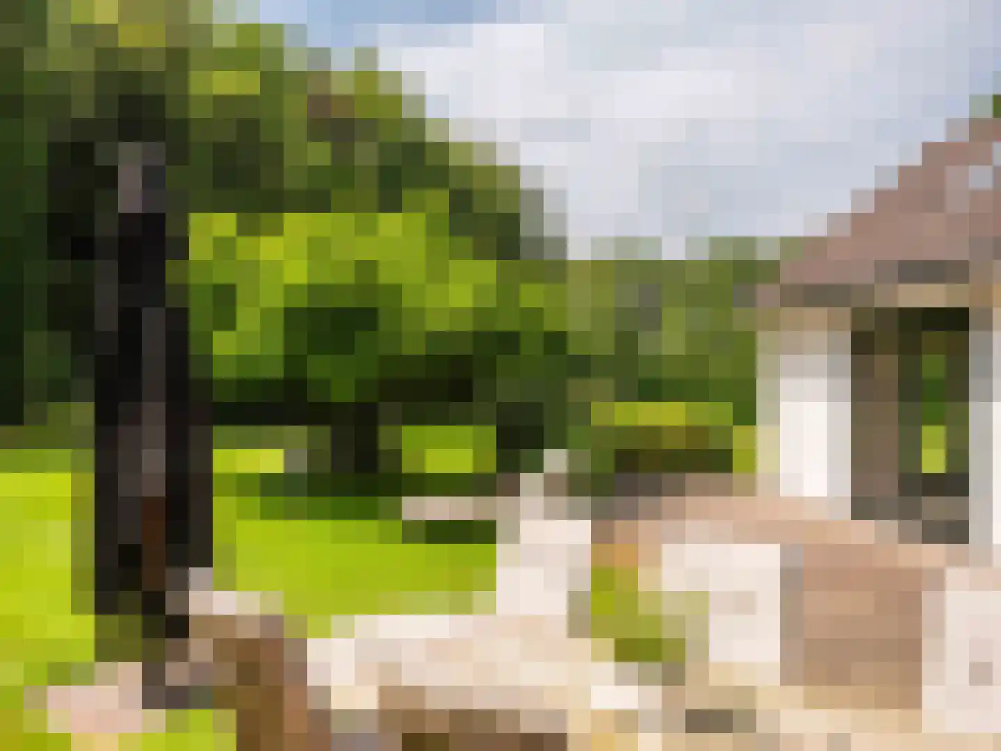 Gortersweg 2 A Schoorl thumbnail 40