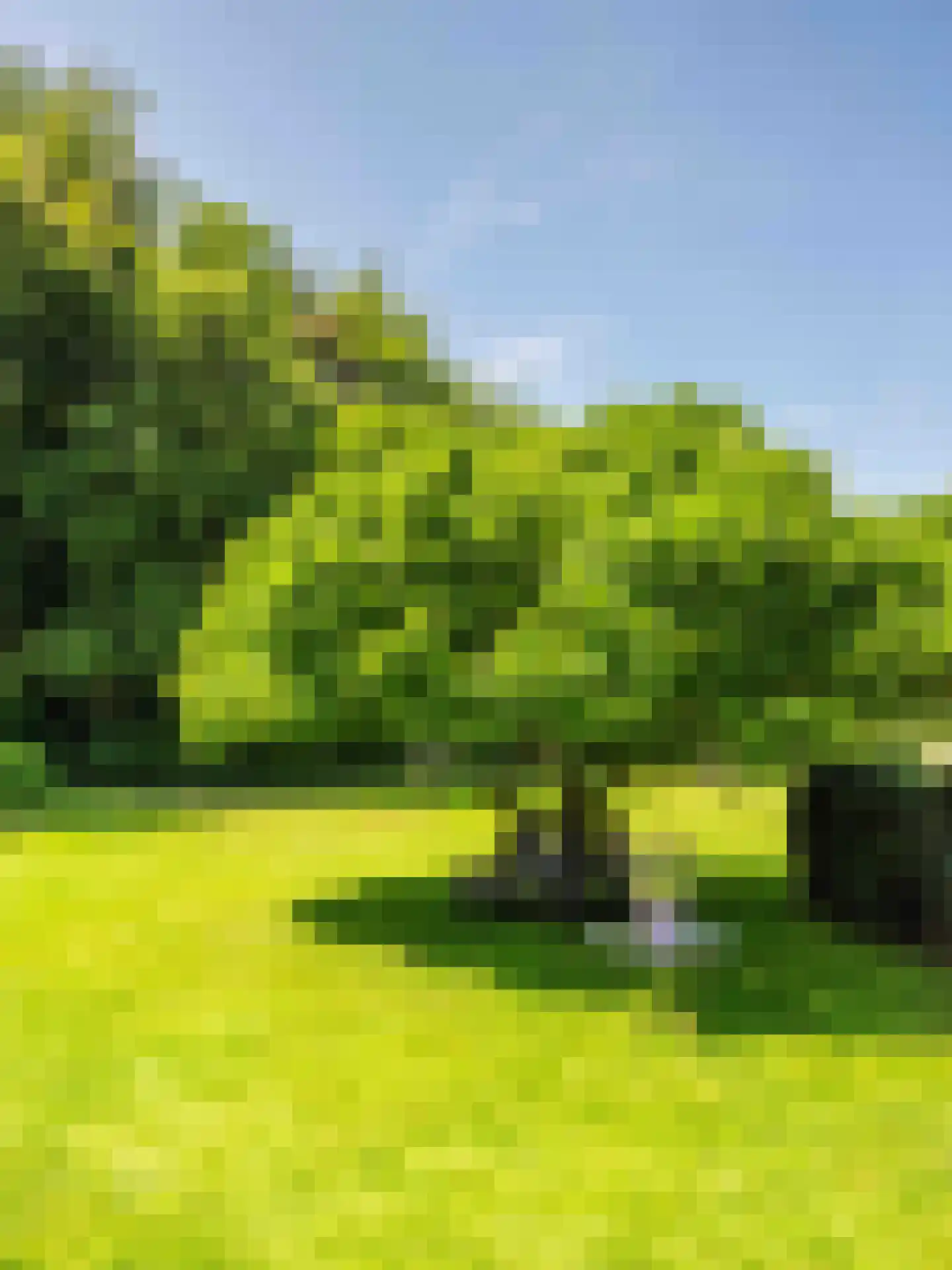 Gortersweg 2 A Schoorl thumbnail 44