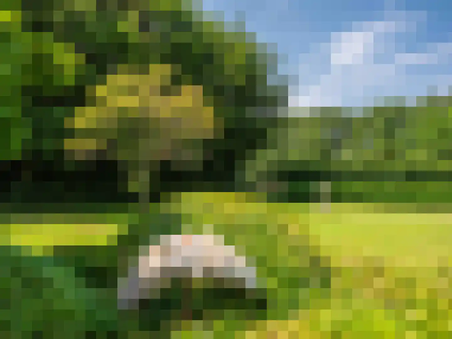 Gortersweg 2 A Schoorl thumbnail 46