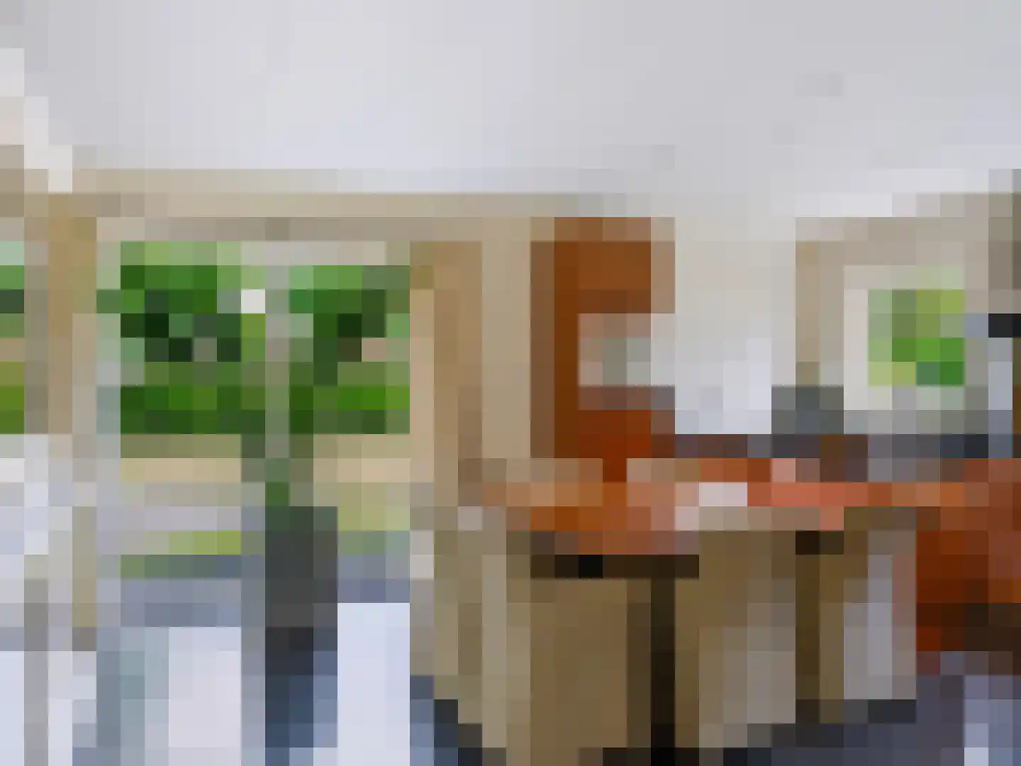 Gortersweg 2 A Schoorl thumbnail 7