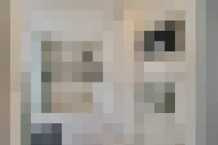 Gorterwende 2 Hillegom thumbnail 11