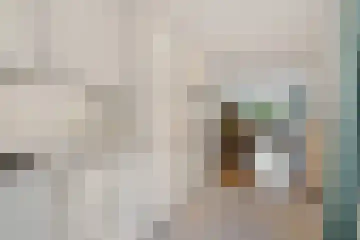 Gorterwende 2 Hillegom thumbnail 13