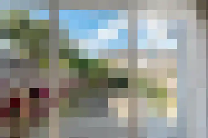 Gorterwende 2 Hillegom thumbnail 14