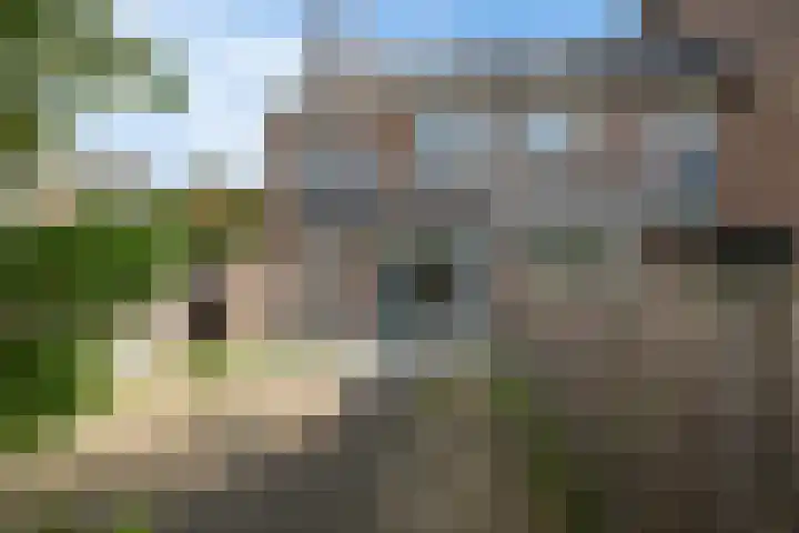 Gorterwende 2 Hillegom thumbnail 16