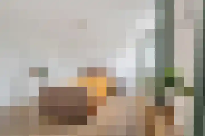 Gorterwende 2 Hillegom thumbnail 20