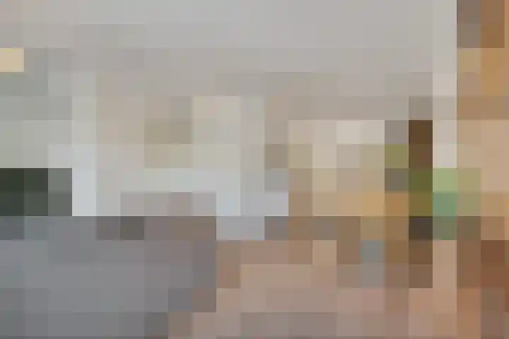 Gorterwende 2 Hillegom thumbnail 8