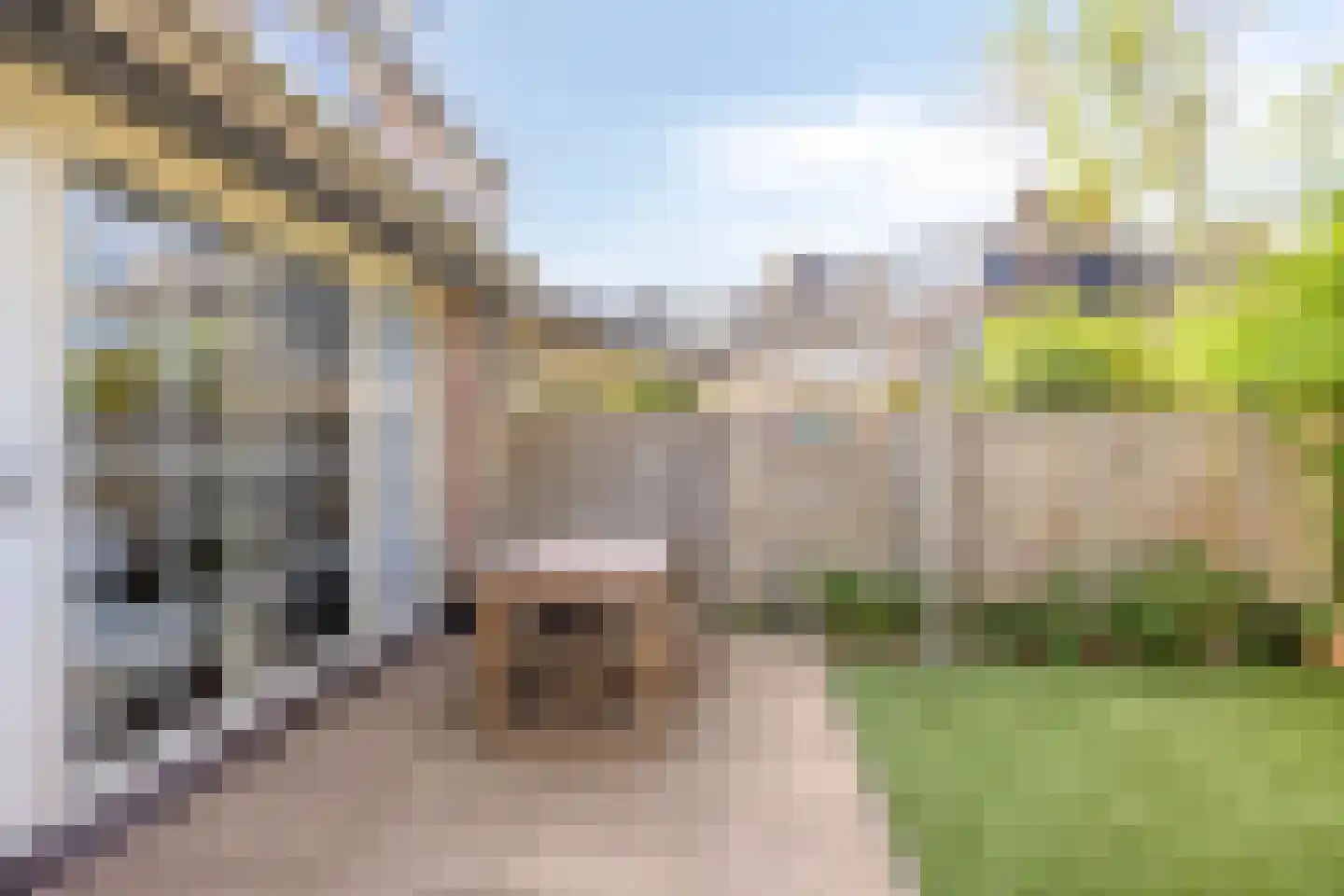 Gorterwende 6 Hillegom thumbnail 39