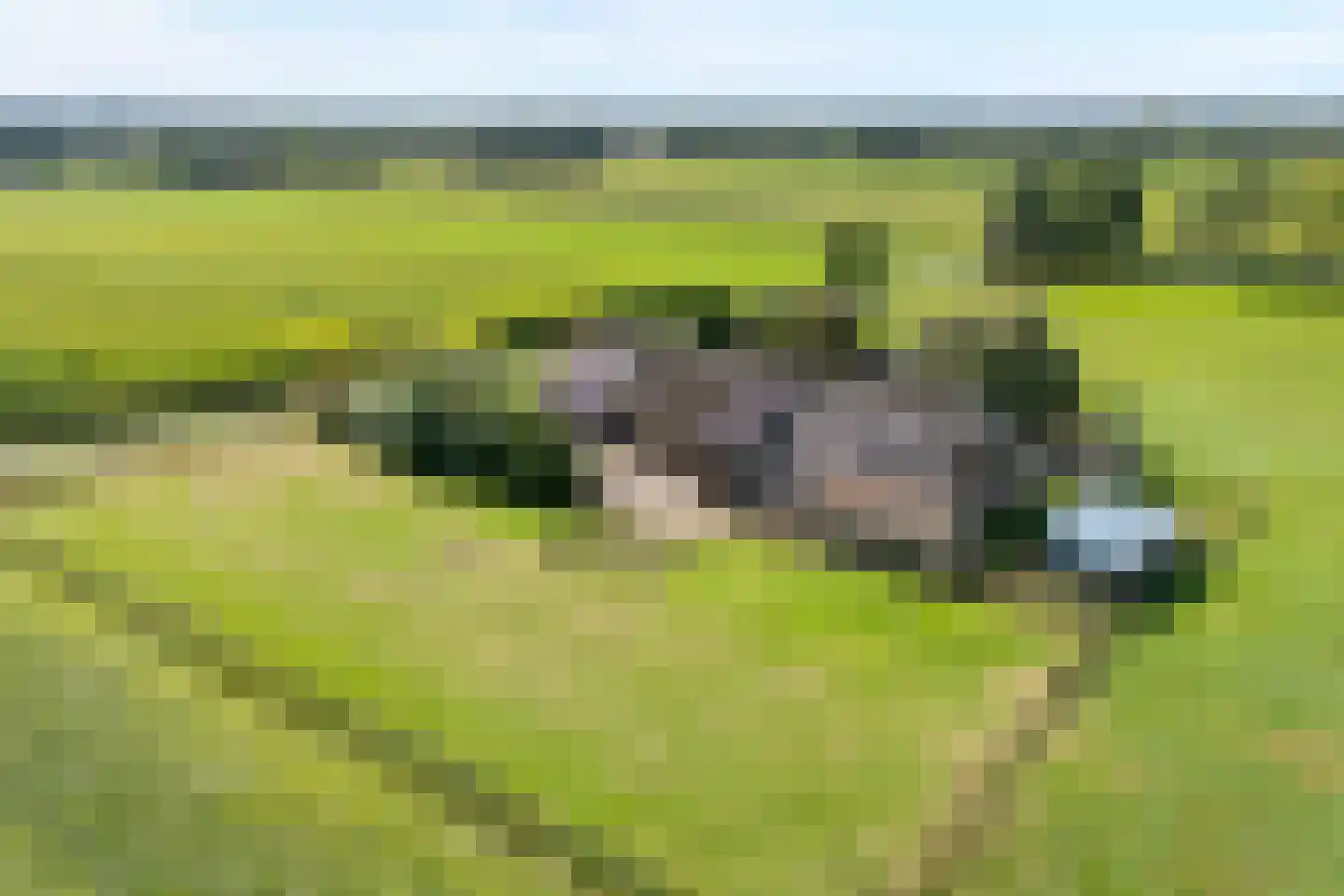 Gorthoek 9 Nijeveen thumbnail 11