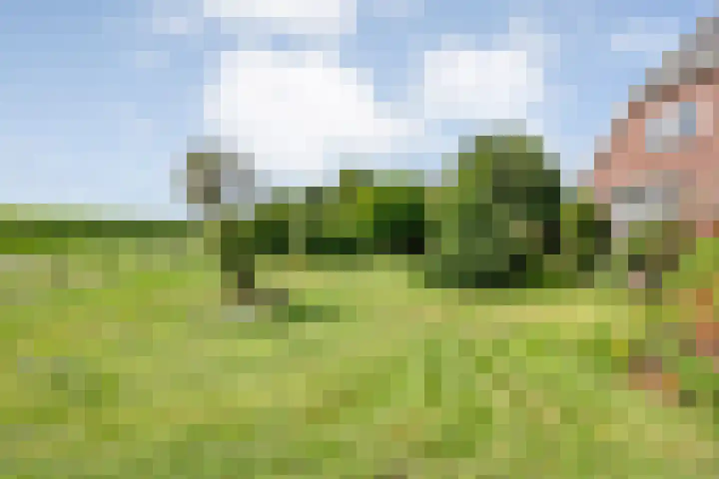 Gorthoek 9 Nijeveen thumbnail 16