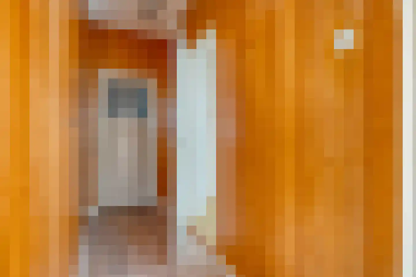 Gorthoek 9 Nijeveen thumbnail 20