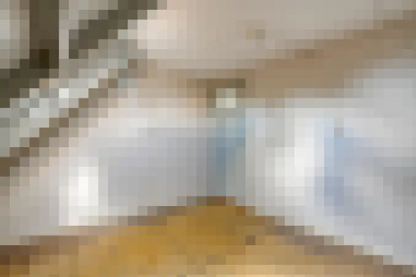 Gorthoek 9 Nijeveen thumbnail 38
