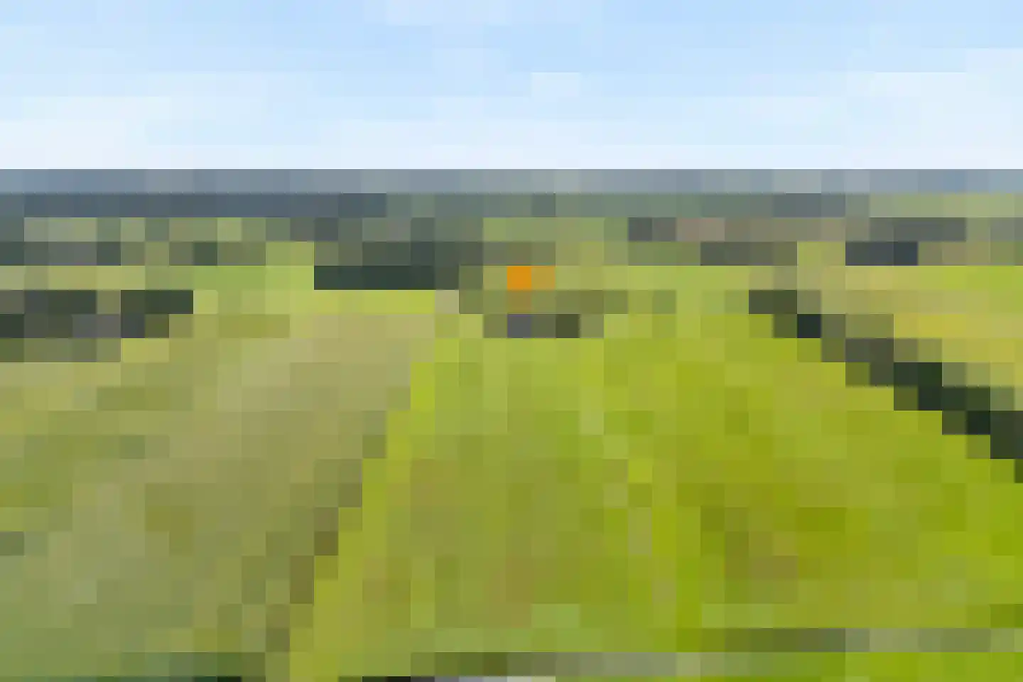 Gorthoek 9 Nijeveen thumbnail 4