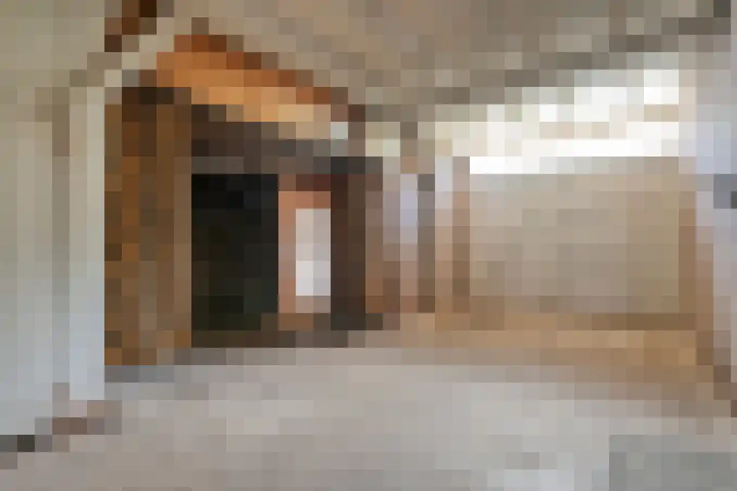 Gorthoek 9 Nijeveen thumbnail 48
