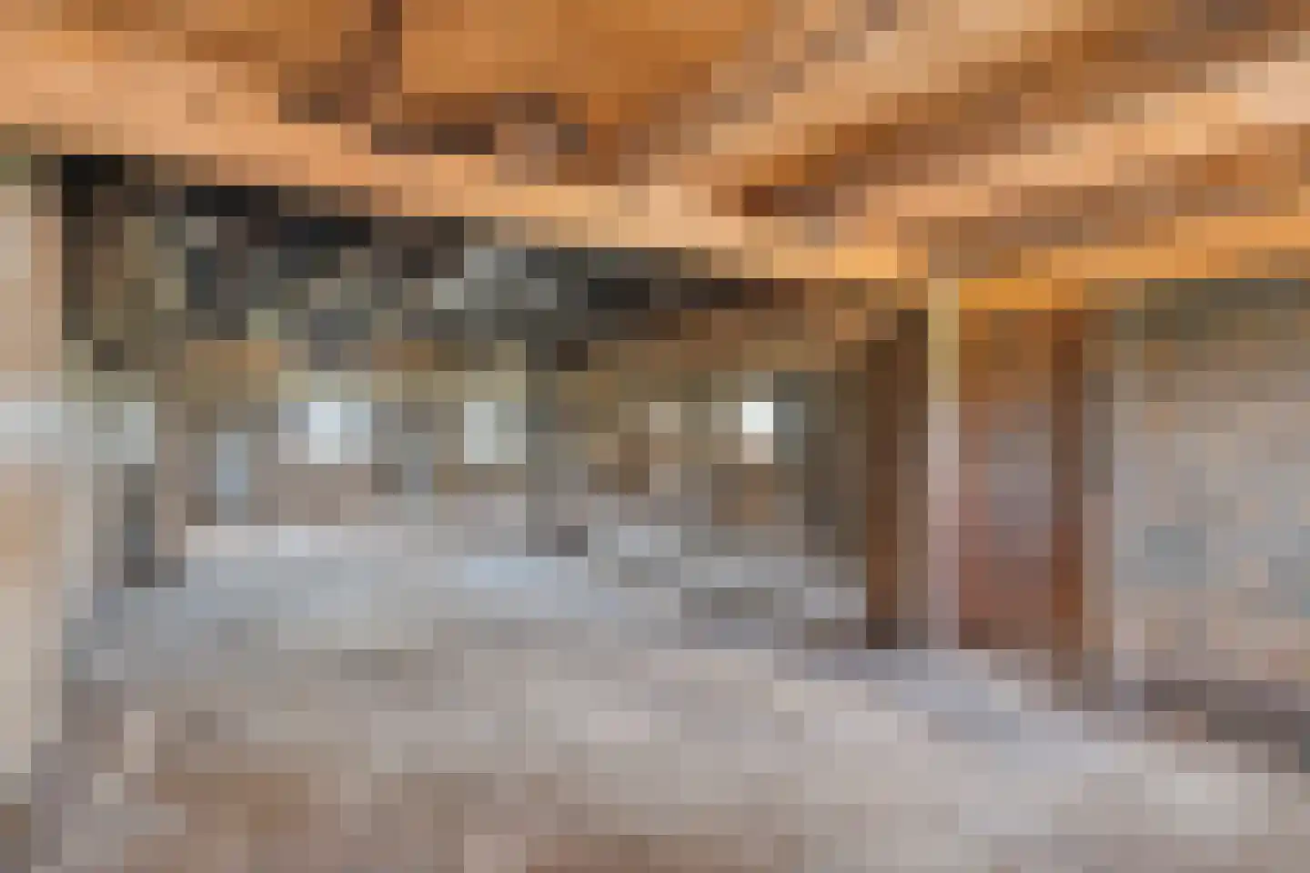 Gorthoek 9 Nijeveen thumbnail 54