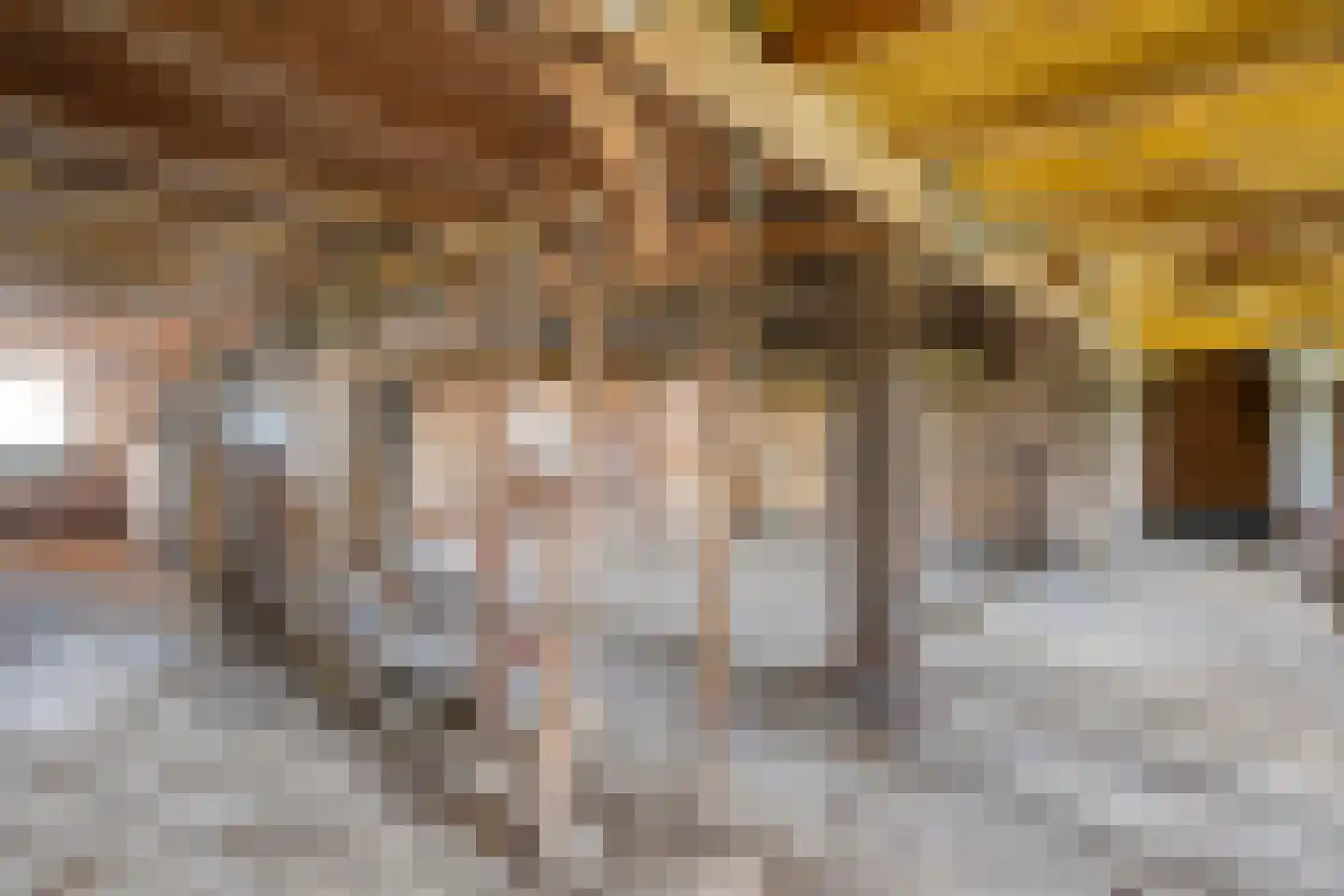 Gorthoek 9 Nijeveen thumbnail 55