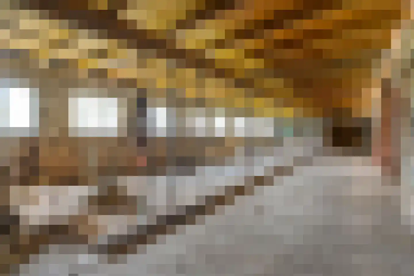 Gorthoek 9 Nijeveen thumbnail 56