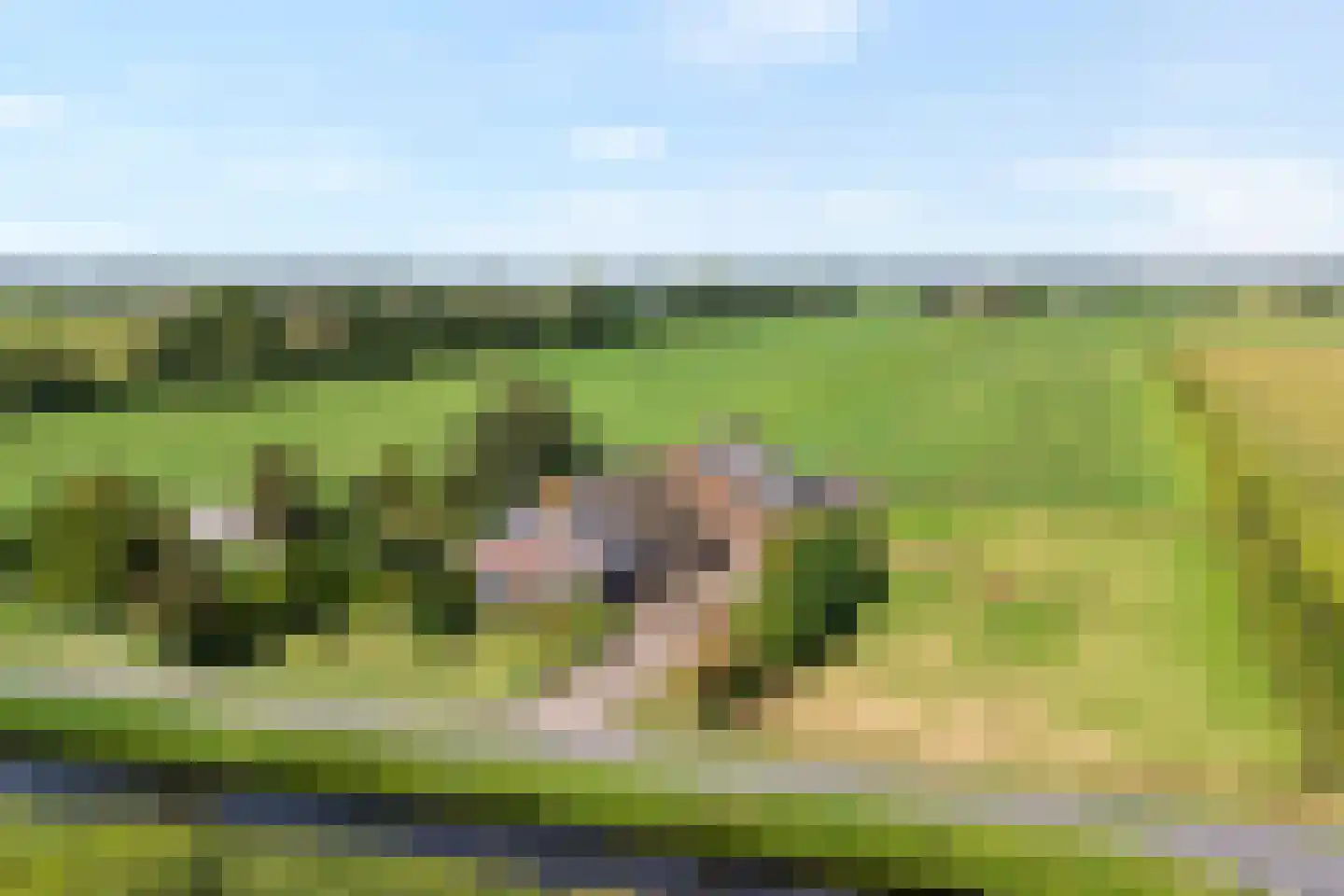 Gorthoek 9 Nijeveen thumbnail 6