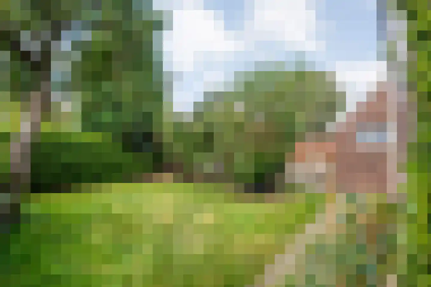 Gorthoek 9 Nijeveen thumbnail 61