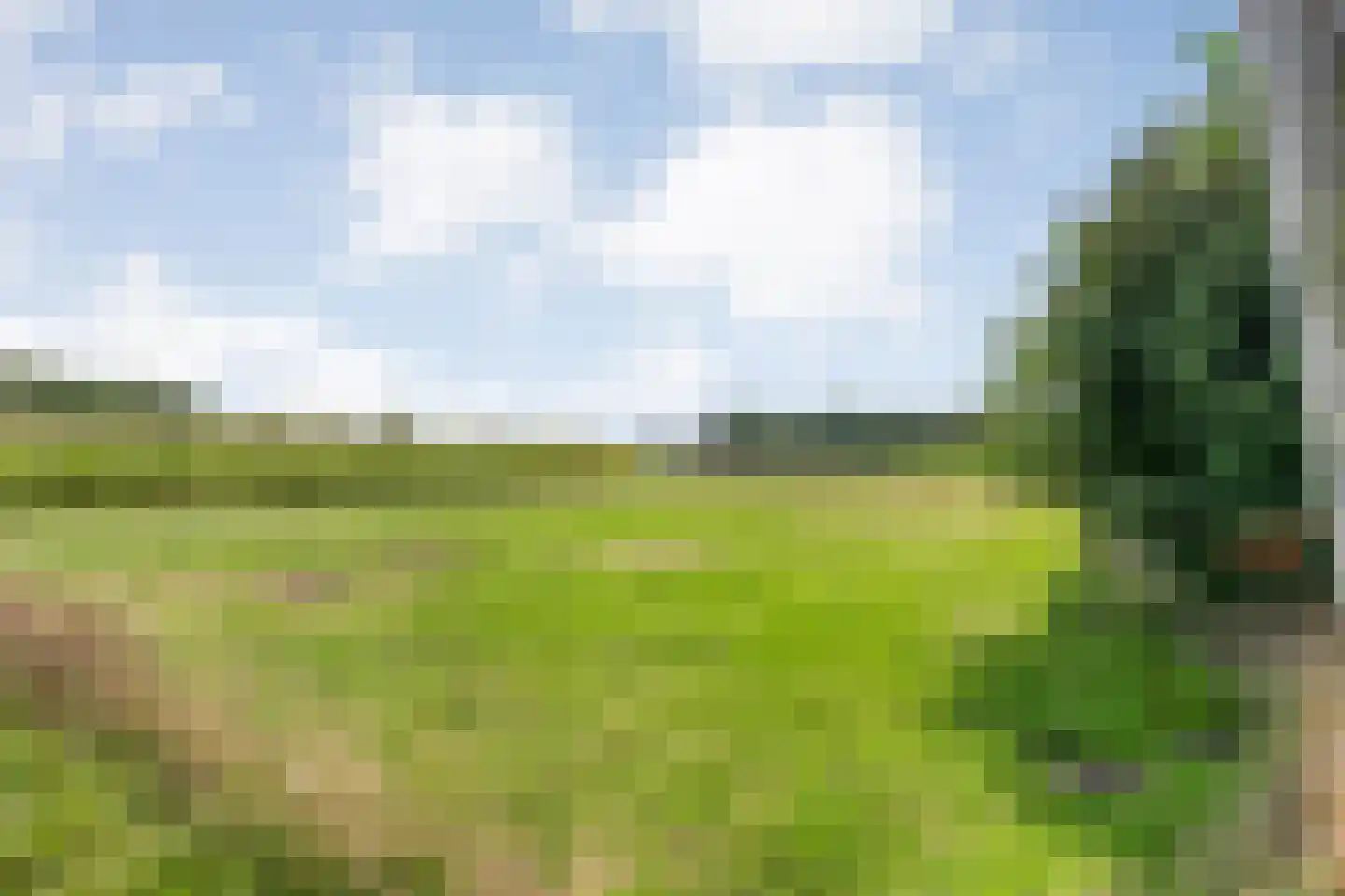 Gorthoek 9 Nijeveen thumbnail 66
