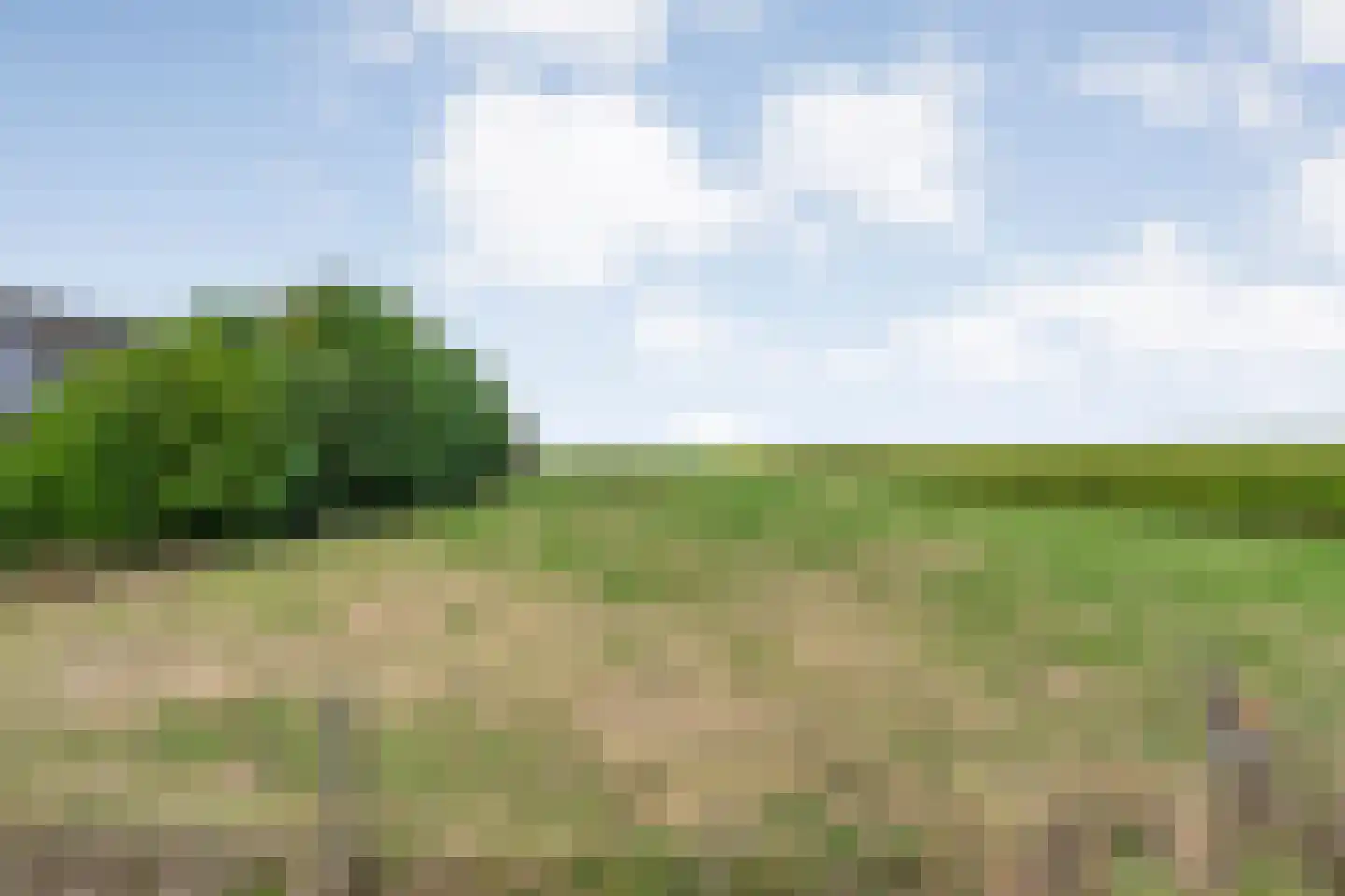 Gorthoek 9 Nijeveen thumbnail 69