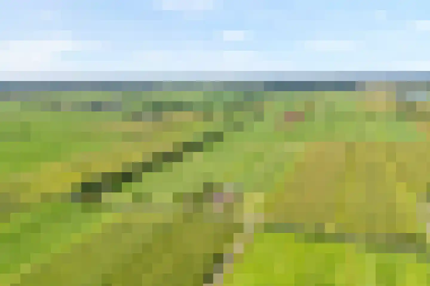 Gorthoek 9 Nijeveen thumbnail 8