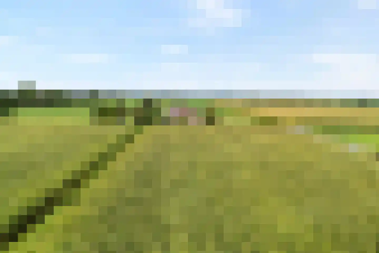Gorthoek 9 Nijeveen thumbnail 9