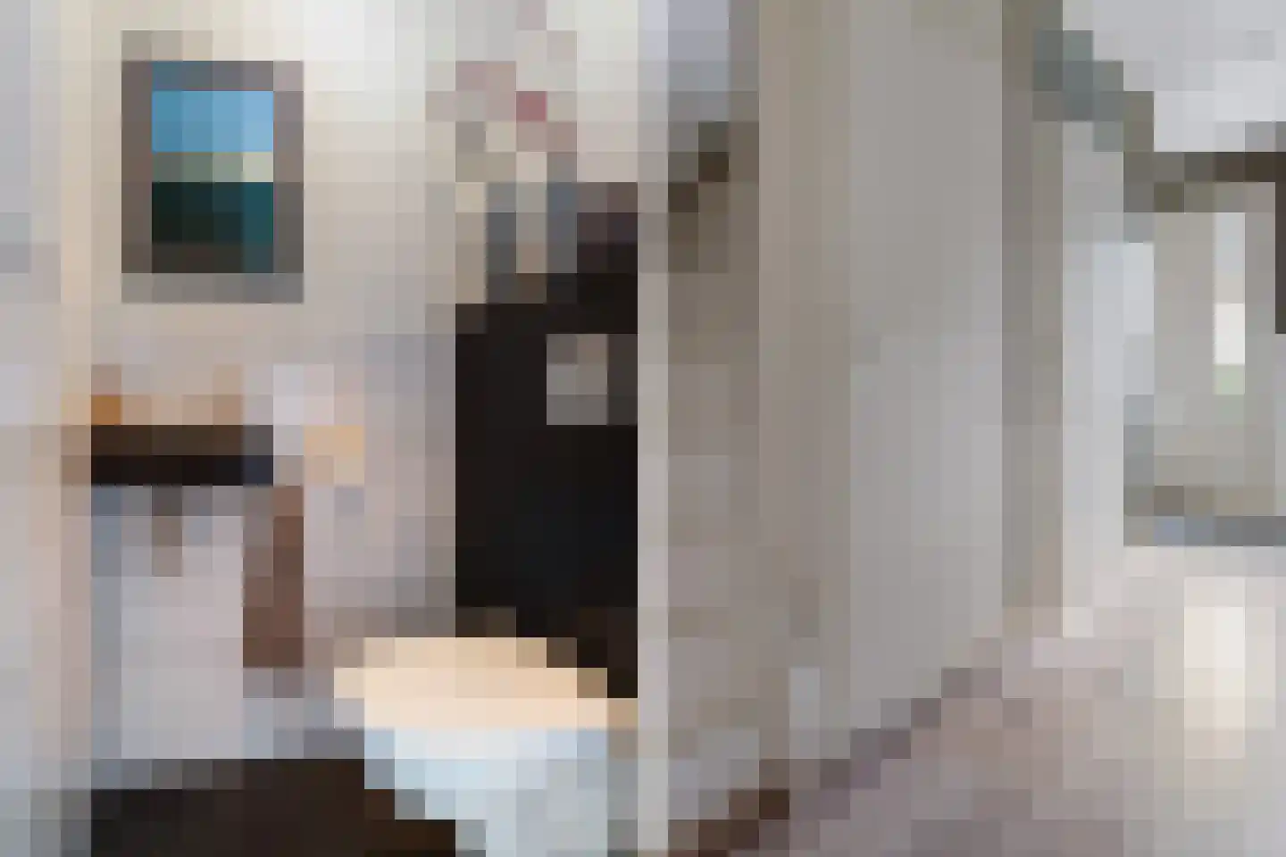 Gortmolenerf 30 Gouda thumbnail 11