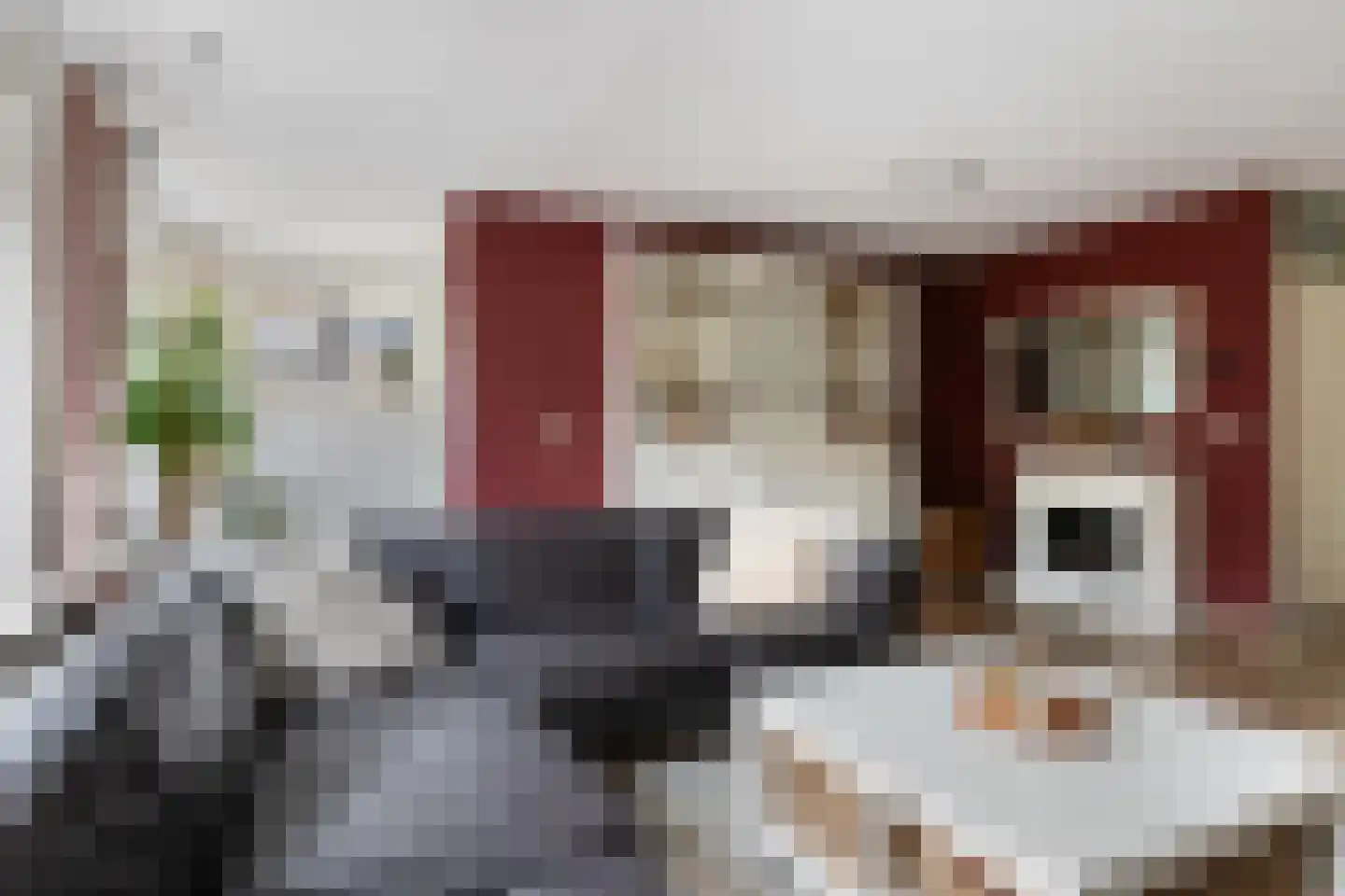 Gortmolenerf 30 Gouda thumbnail 18