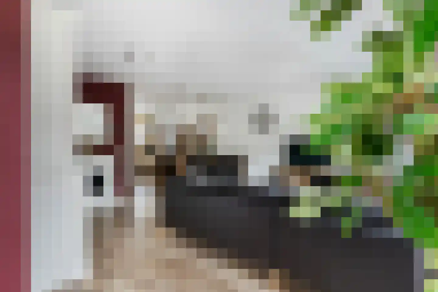 Gortmolenerf 30 Gouda thumbnail 25