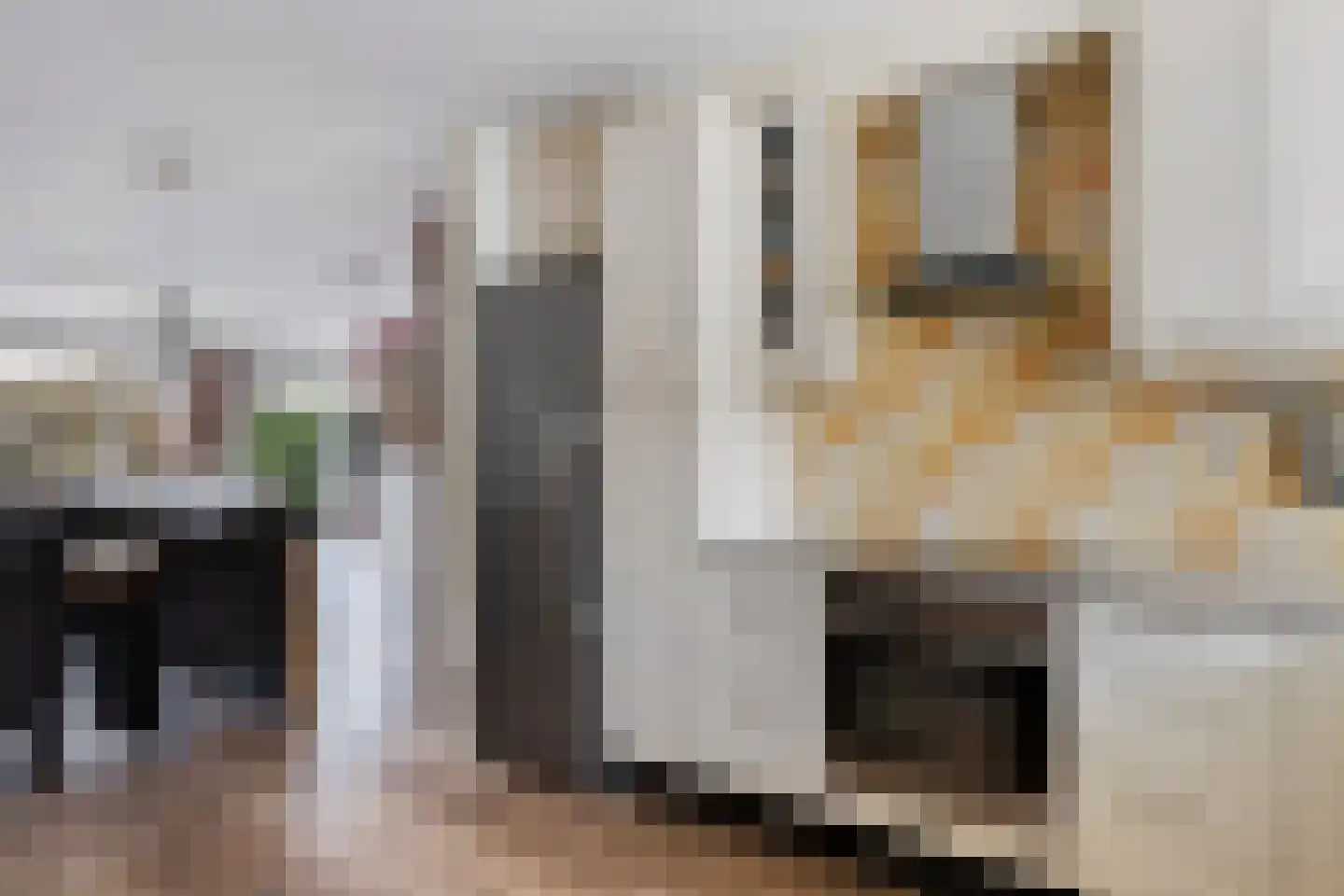 Gortmolenerf 30 Gouda thumbnail 32