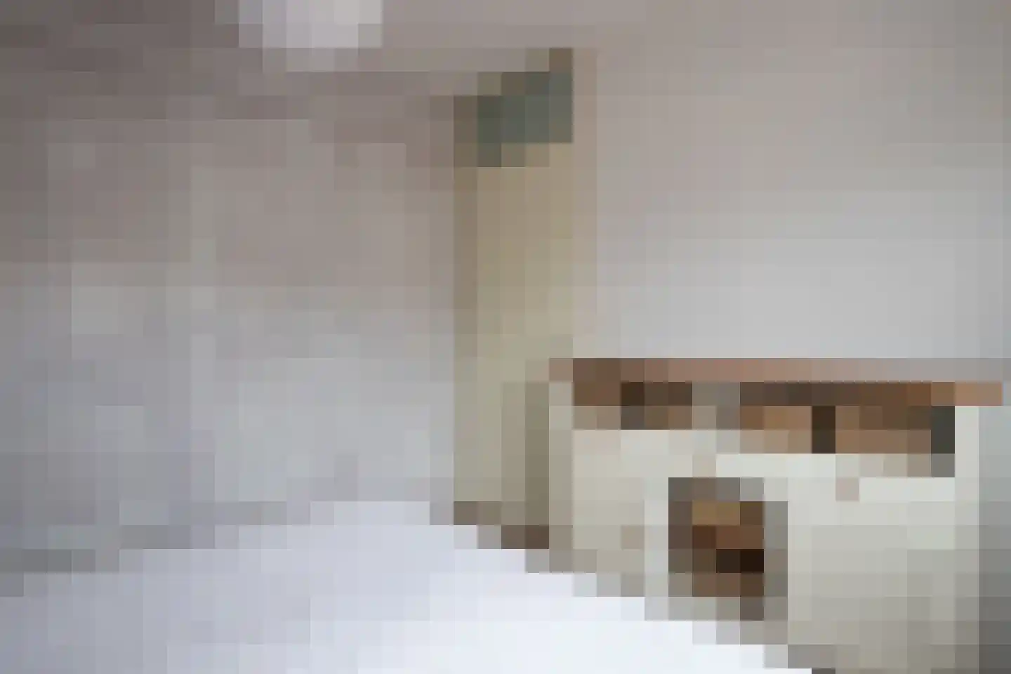 Gortmolenerf 30 Gouda thumbnail 44