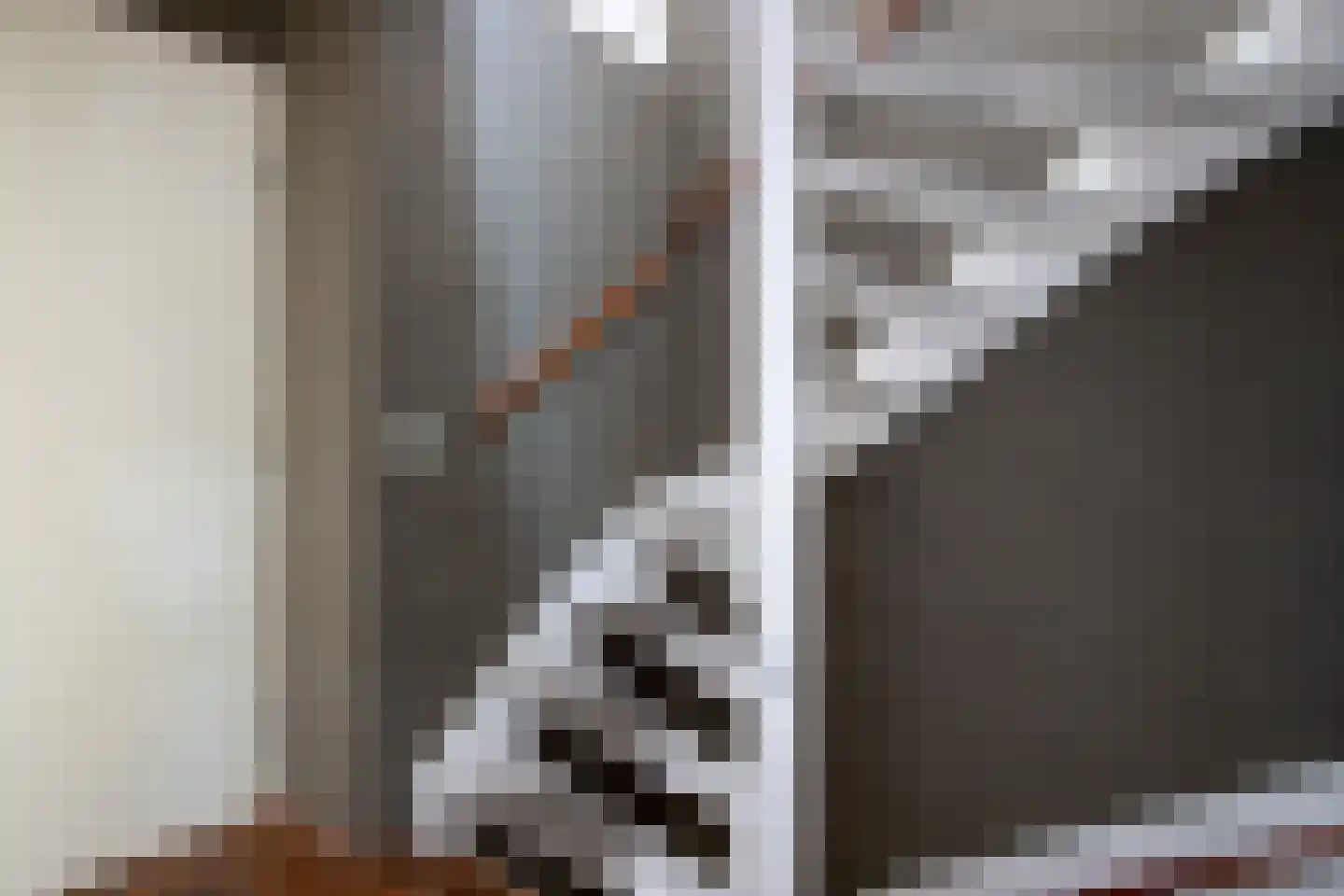 Gortmolenerf 30 Gouda thumbnail 49