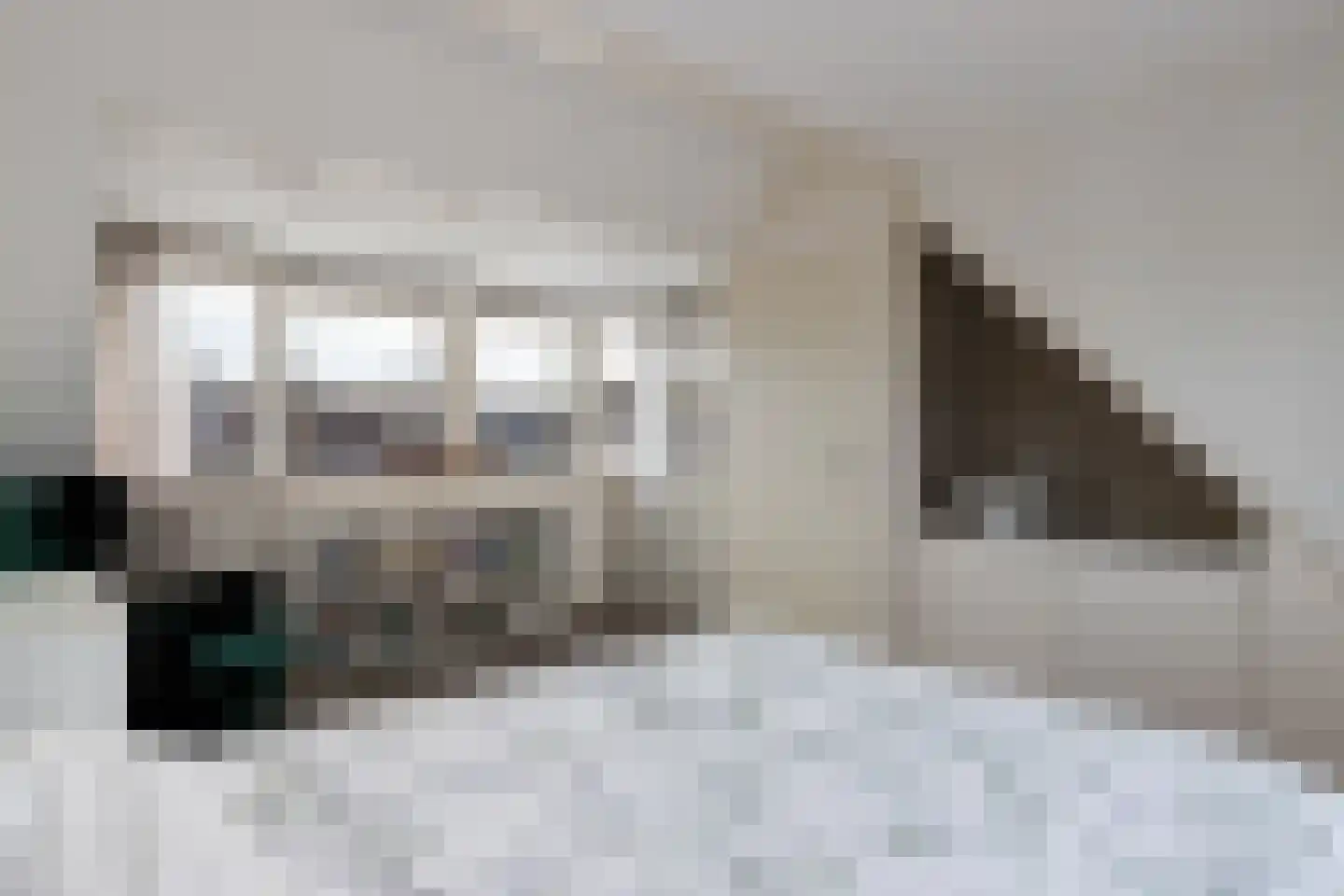 Gortmolenerf 30 Gouda thumbnail 54